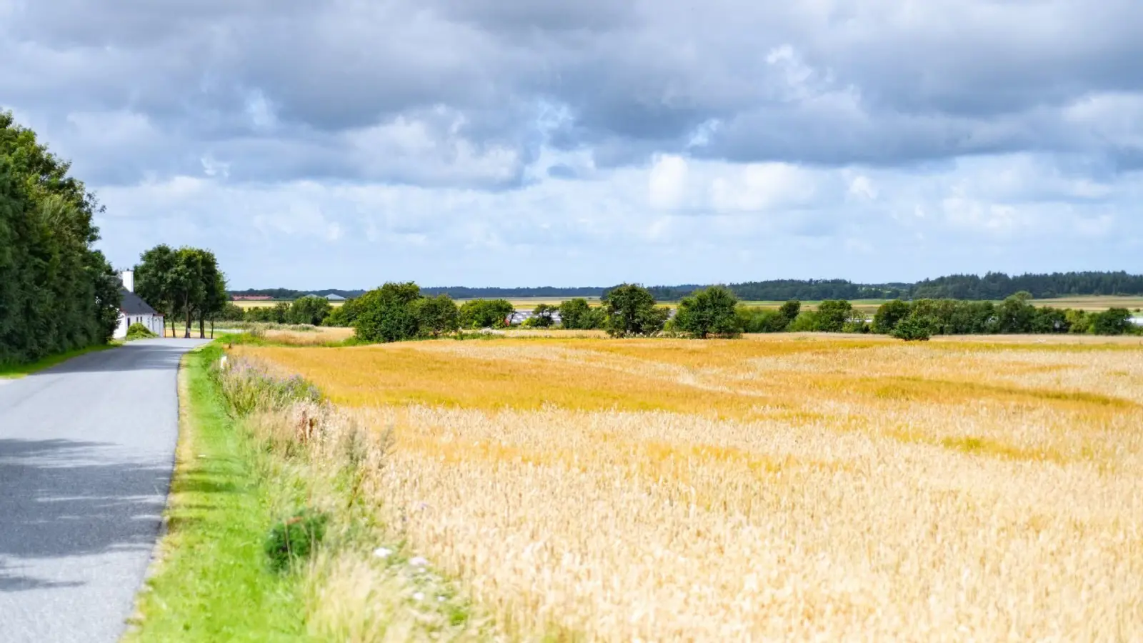 En landevej langs kornmarker